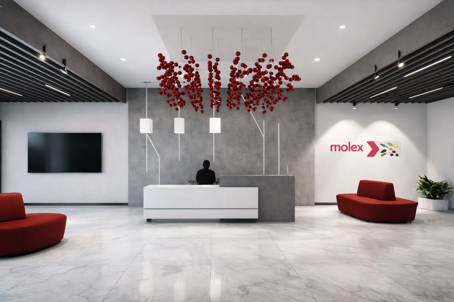 Molex Phase 1